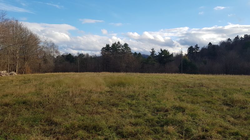 Uzbrojona działka widokowa na wzgórzu – 3 min od Soliny + własny las! - zdjęcie 3