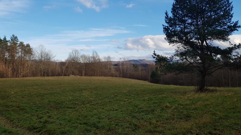 Uzbrojona działka widokowa na wzgórzu – 3 min od Soliny + własny las! - zdjęcie 7