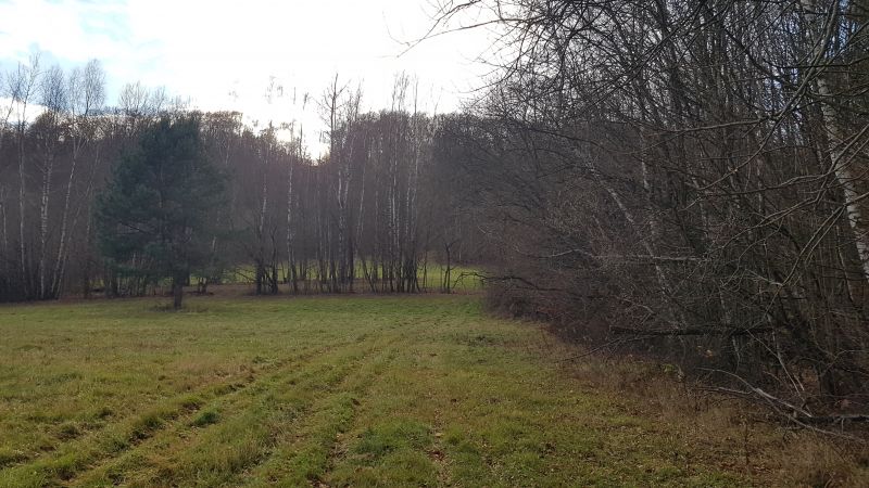 Uzbrojona działka widokowa na wzgórzu – 3 min od Soliny + własny las! - zdjęcie 6