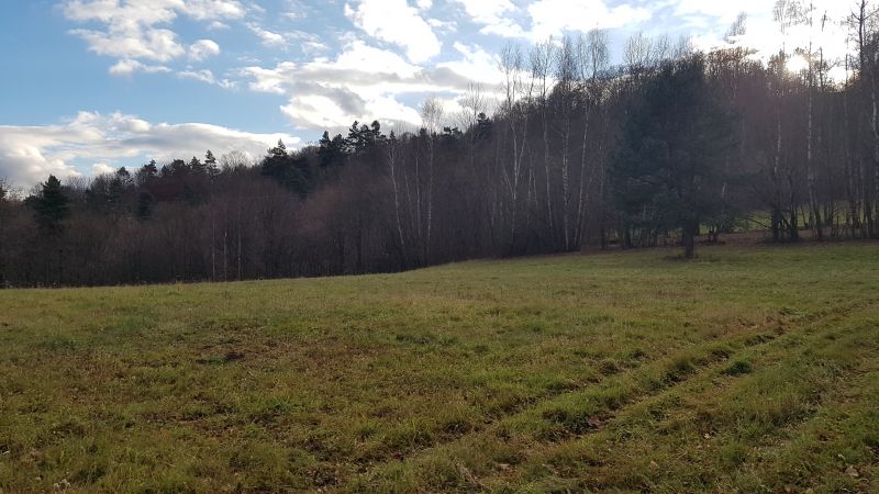 Uzbrojona działka widokowa na wzgórzu – 3 min od Soliny + własny las! - zdjęcie 5