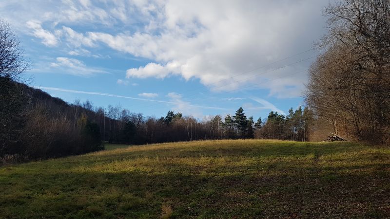 Uzbrojona działka widokowa na wzgórzu – 3 min od Soliny + własny las! - zdjęcie 1