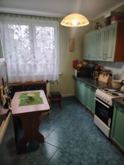 Sprzedam mieszkanie o pow. 43,40 m kw w Wietlin Osada - zdjęcie 4