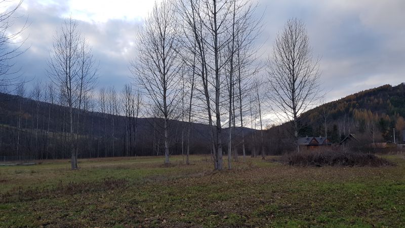 Uzbrojona działka w centrum Bóbrki obok Soliny, idealna pod parking! - zdjęcie 6