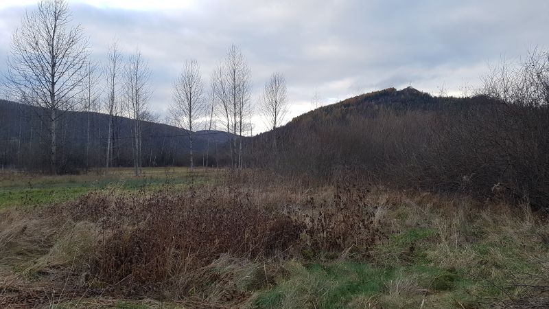 Uzbrojona działka w centrum Bóbrki obok Soliny, idealna pod parking! - zdjęcie 4