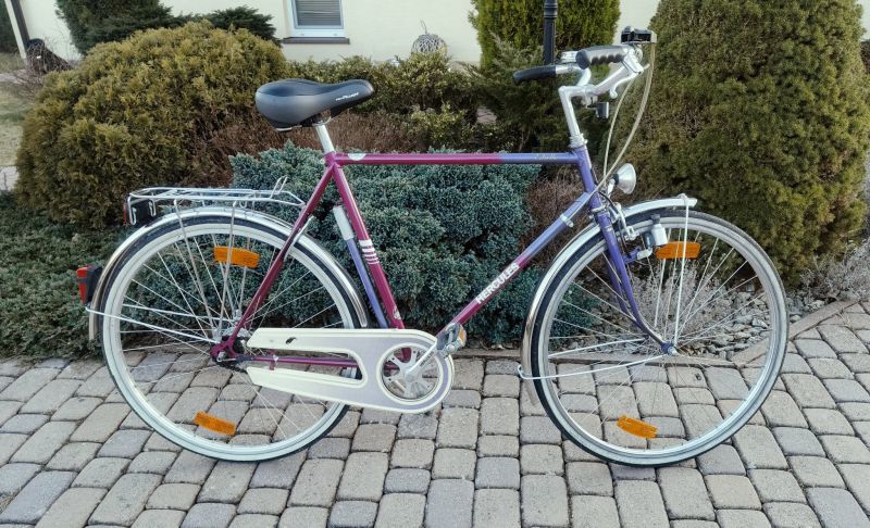 Rower męski Herkules - zdjęcie 2