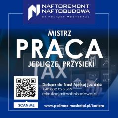 Mistrz/ Mistrzyni - praca