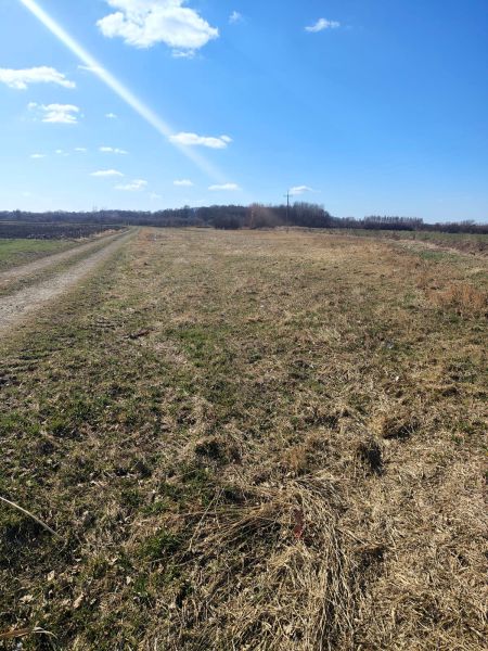 Działki budowlane w Jarosławiu - zdjęcie 2