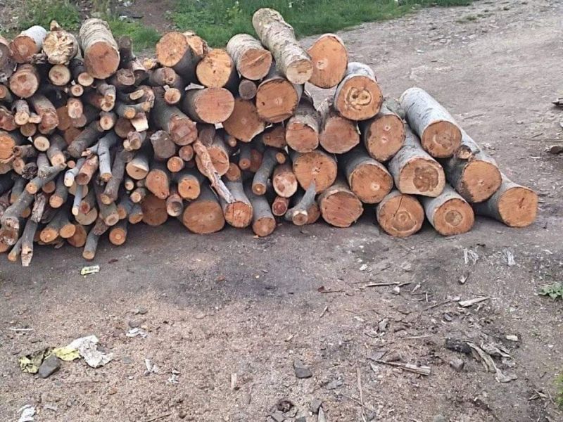 Drewno opałowe bukowe - zdjęcie 3