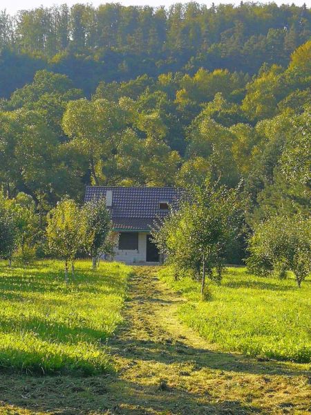 Domek letniskowy z działka  - zdjęcie 2