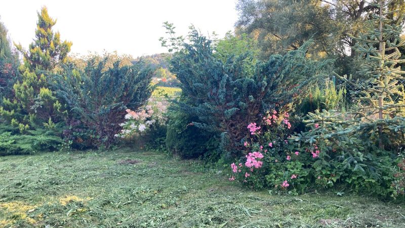 Domek letniskowy z działka  - zdjęcie 9