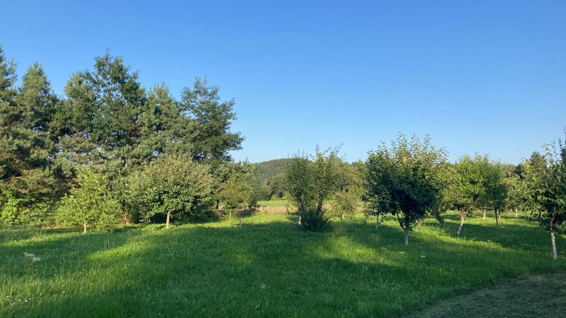 Domek letniskowy z działka  - zdjęcie 10