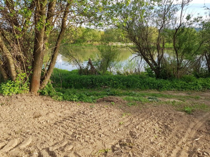 Działka rekreacyjna nad sanem - zdjęcie 5