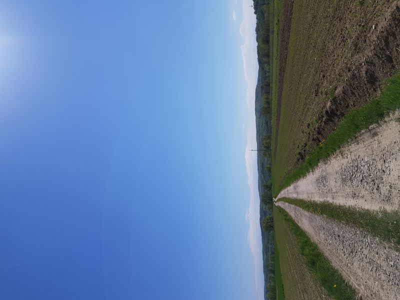 Działka rekreacyjna nad sanem - zdjęcie 8