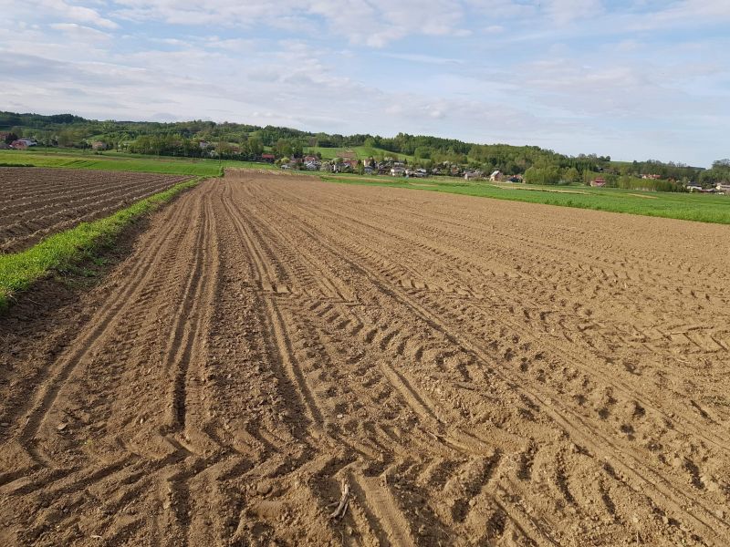 Działka rekreacyjna nad sanem - zdjęcie 1