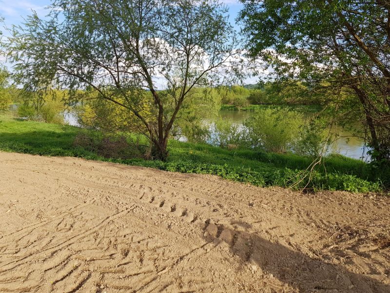 Działka rekreacyjna nad sanem - zdjęcie 4