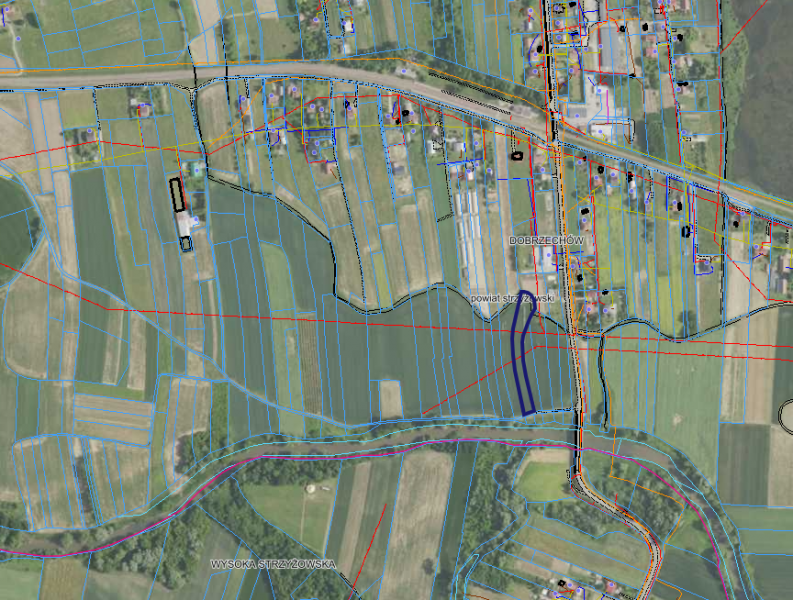 Działka rolna 0,29 ha Dobrzechów - zdjęcie 6