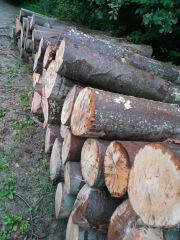 Buk opał - transport HDS gratis