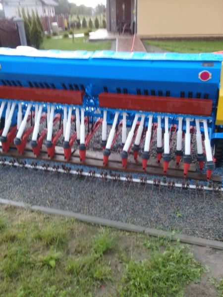 Siewnik poznaniak  - zdjęcie 1