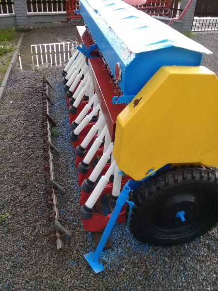 Siewnik poznaniak  - zdjęcie 5