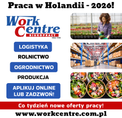 Oferty pracy w Holandii (k/m)