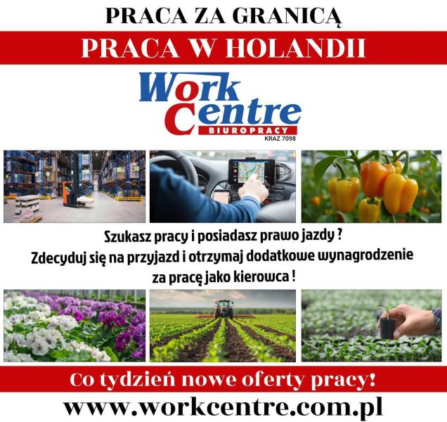 Oferty pracy w Holandii (k/m) - zdjęcie 1