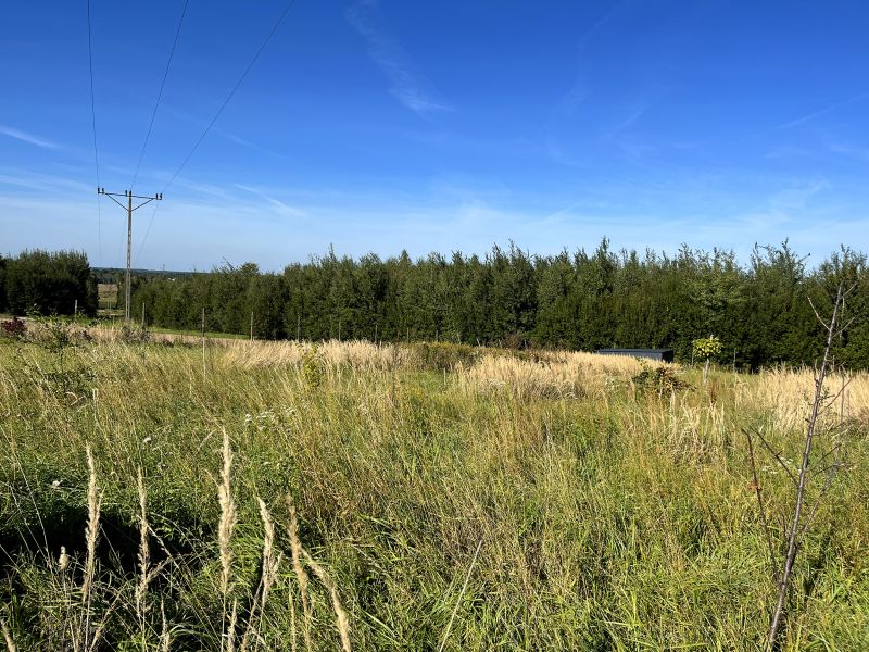 OLCHOWA – 2733 m² | 2 działki | pozwolenie na budowę 2 domów - zdjęcie 7