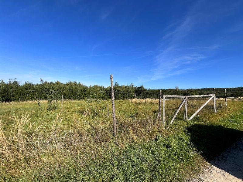 OLCHOWA – 2733 m² | 2 działki | pozwolenie na budowę 2 domów - zdjęcie 6