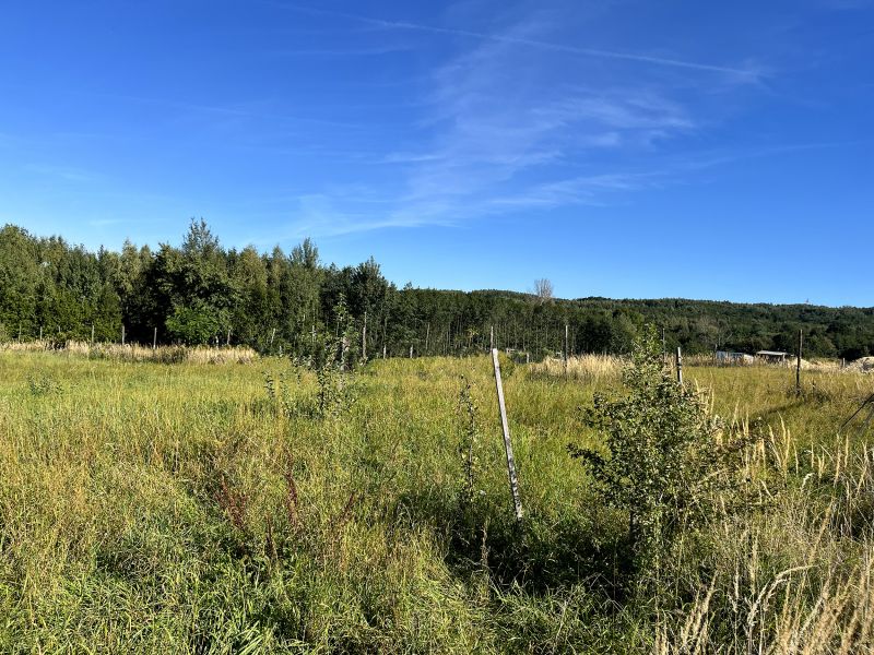 OLCHOWA – 2733 m² | 2 działki | pozwolenie na budowę 2 domów - zdjęcie 8