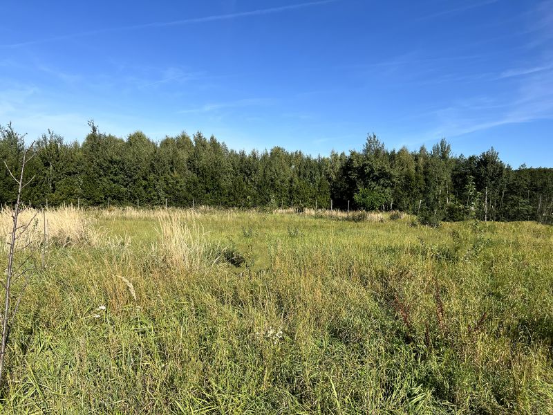 OLCHOWA – 2733 m² | 2 działki | pozwolenie na budowę 2 domów - zdjęcie 9