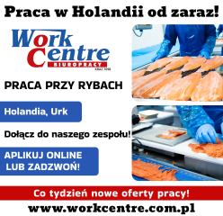 Pakowanie ryb Oferta pracy w Holandii (k/m)