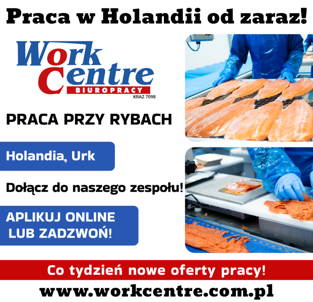 Pakowanie ryb Oferta pracy w Holandii (k/m) - zdjęcie 1