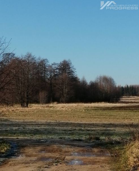  Do sprzedaży LAS 23,75 a - Dobieszyn. - zdjęcie 2