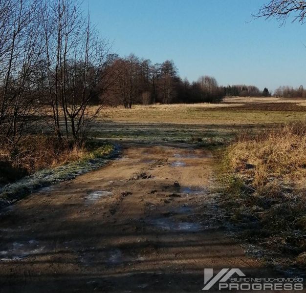  Do sprzedaży LAS 23,75 a - Dobieszyn. - zdjęcie 1