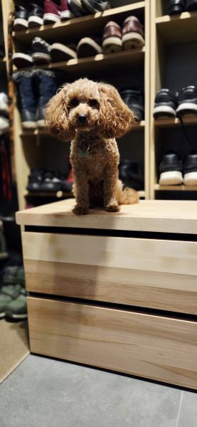 Komoda na dowolny wymiar - zdjęcie 3