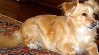 Λίλιαν Σίμου astrolife