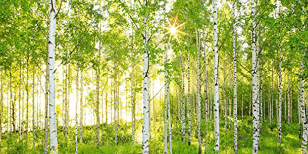 προβλέψεις Λίλιαν Σίμου astrolife