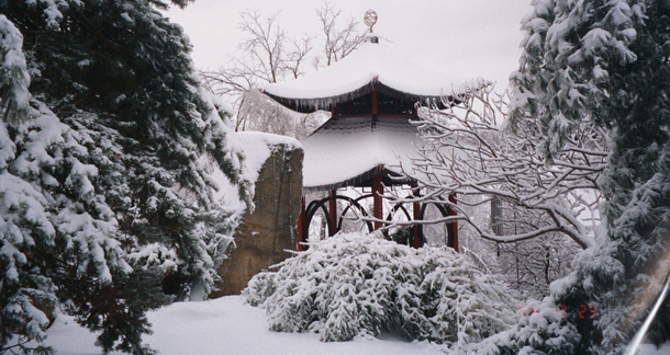 μηνιαίες προβλέψεις Λίλιαν Σίμου astrolife