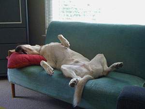 Λίλιαν Σίμου astrolife