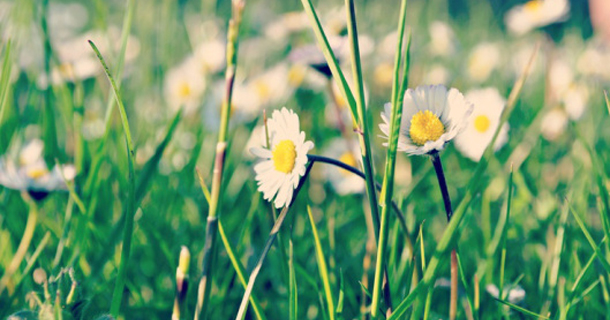 εβδομαδιαίες προβλέψεις Astrolife