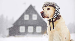 Λίλιαν Σίμου astrolife