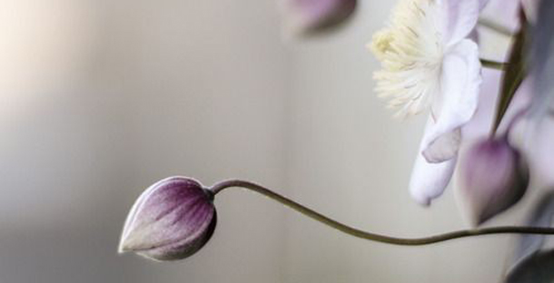 προβλέψεις Λίλιαν Σίμου astrolife