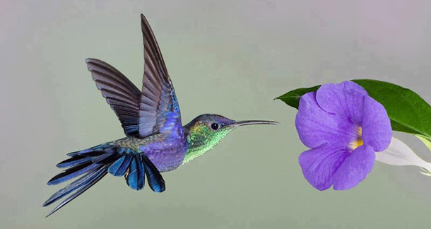 astrolife Λίλιαν Σίμου