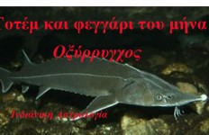 Λίλιαν Σίμου astrolife