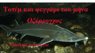 Λίλιαν Σίμου astrolife