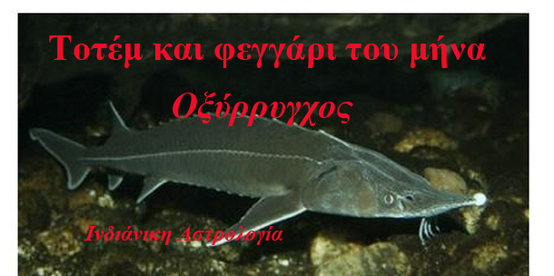 Λίλιαν Σίμου astrolife