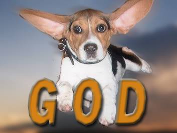 1383891_10200487549102340_1256678876_n