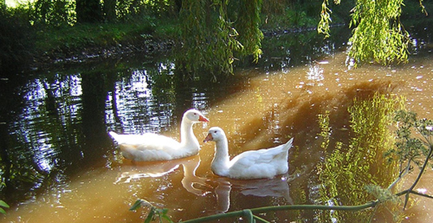 Λίλιαν Σίμου πρόβλεψη astrolife