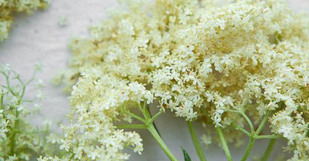 Εβδομαδιαίες προβλέψεις αριθμολογικές