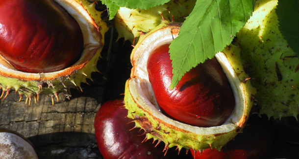 προβλέψεις Λίλιαν Σίμου astrolife