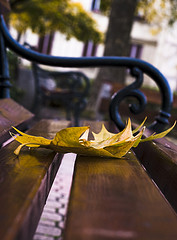 2989225095_9fcf1a6296_m